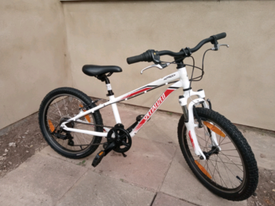 specialized hotrock 20 age range